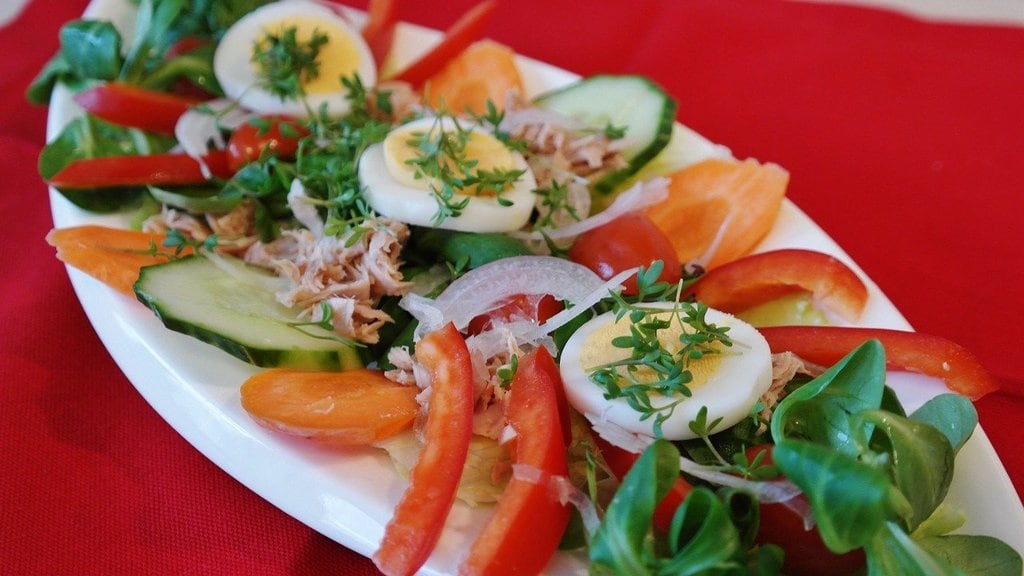 Les clés d&rsquo;une santé optimale à travers l&rsquo;alimentation